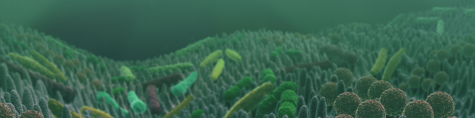 Darmflora